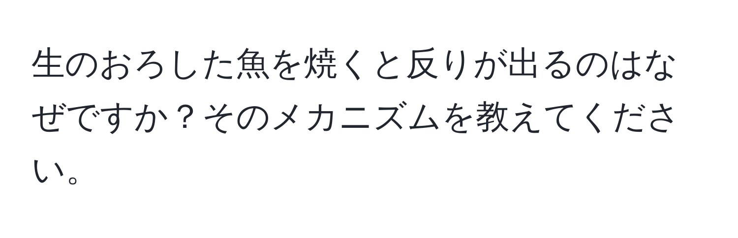 生のおろした魚を焼くと反りが出るのはなぜですか？そのメカニズムを教えてください。