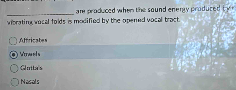 are produced when the sound energy produced by t
vibrating vocal folds is modified by the opened vocal tract.
Affricates
Vowels
Glottals
Nasals