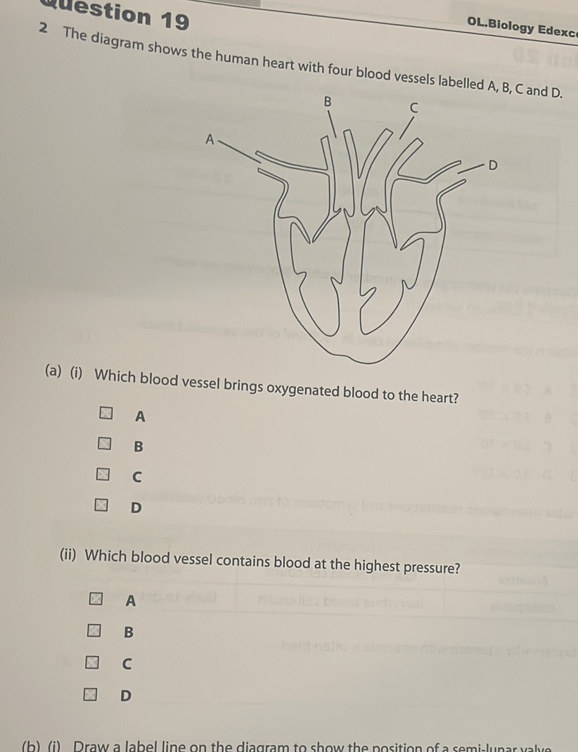 Qestion 19
L. iology de 
2 The diagram shows the human heart with four blood vessels labelled A, B C and D.
(a) (i) Which blood vessel brings oxygenated blood to the heart?
A
B
C
D
(ii) Which blood vessel contains blood at the highest pressure?
A
B
C
D
(b) (i) Draw a label line on the diagram to show the position of a semi-lunar ya