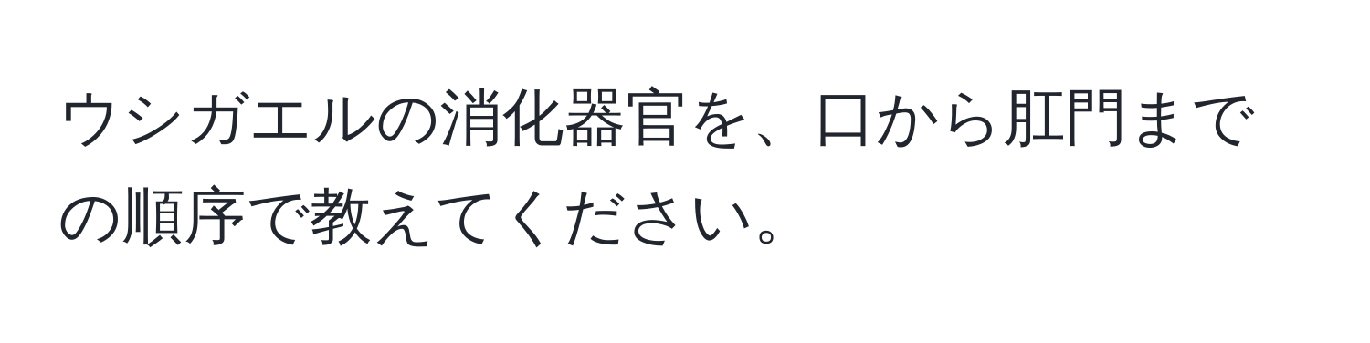 ウシガエルの消化器官を、口から肛門までの順序で教えてください。