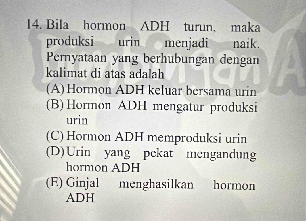 Bila hormon ADH turun, maka
produksi urin menjadi i naik.
Pernyataan yang berhubungan dengan
kalimat di atas adalah
(A)Hormon ADH keluar bersama urin
(B) Hormon ADH mengatur produksi
urin
(C) Hormon ADH memproduksi urin
(D)Urin yang pekat mengandung
hormon ADH
(E) Ginjal menghasilkan hormon
ADH