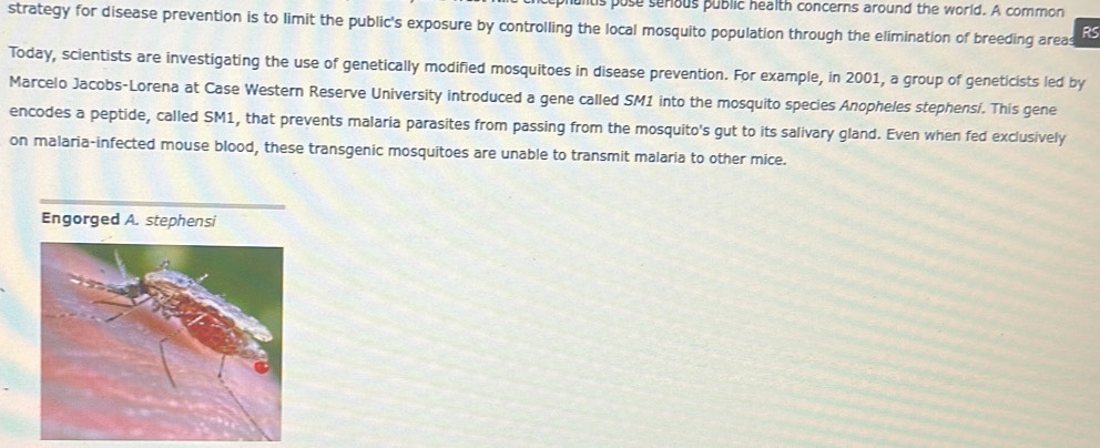 pose senous public health concerns around the world. A common 
strategy for disease prevention is to limit the public's exposure by controlling the local mosquito population through the elimination of breeding areas RS 
Today, scientists are investigating the use of genetically modified mosquitoes in disease prevention. For example, in 2001, a group of geneticists led by 
Marcelo Jacobs-Lorena at Case Western Reserve University introduced a gene called SM1 into the mosquito species Anopheles stephens/. This gene 
encodes a peptide, called SM1, that prevents malaria parasites from passing from the mosquito's gut to its salivary gland. Even when fed exclusively 
on malaria-infected mouse blood, these transgenic mosquitoes are unable to transmit malaria to other mice. 
Engorged A. stephensi