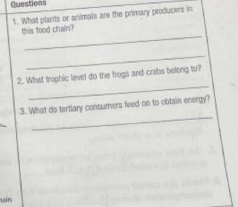 What plants or animals are the primary producers in 
_ 
this food chain? 
_ 
_ 
2. What trophic level do the frogs and crabs belong to? 
_ 
3. What do tertlary consumers feed on to obtain energy? 
ain