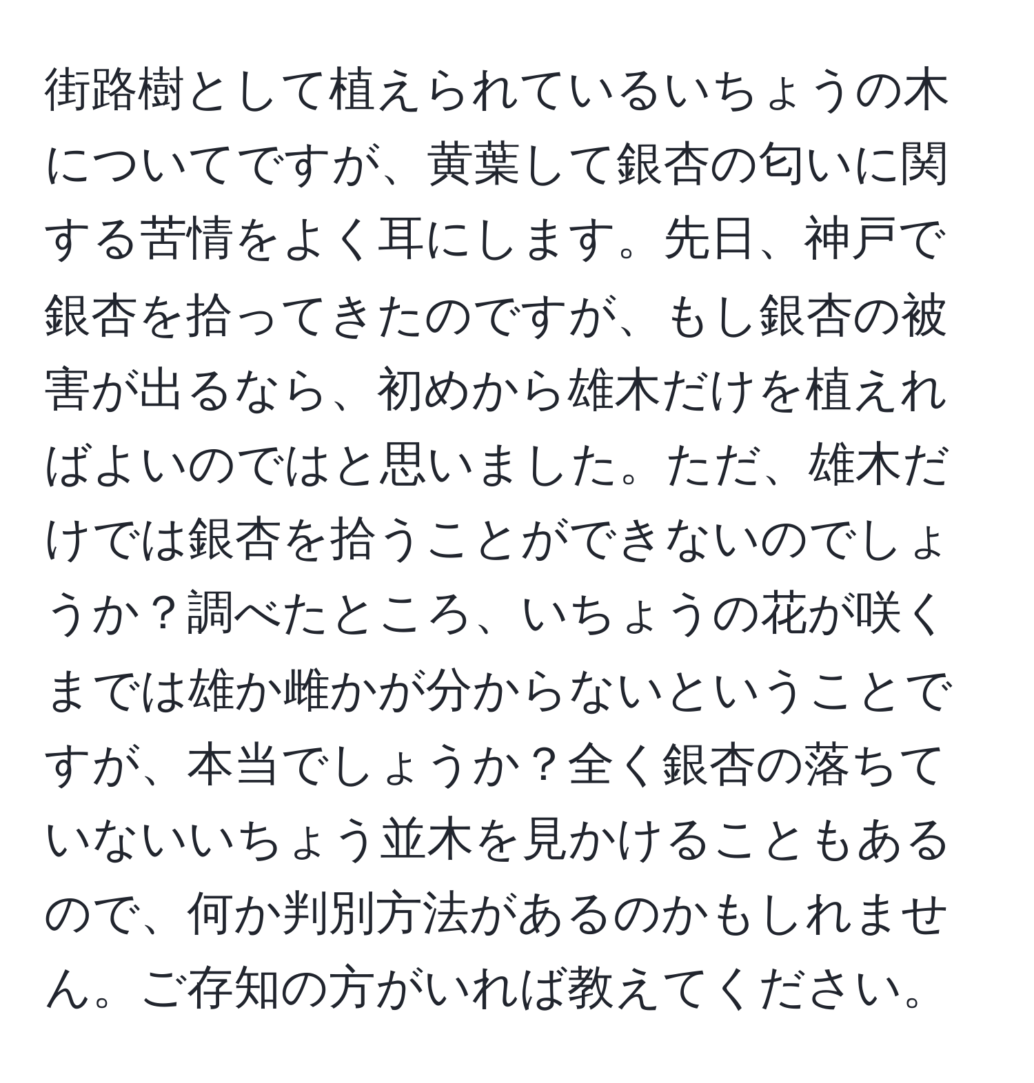 街路樹として植えられているいちょうの木についてですが、黄葉して銀杏の匂いに関する苦情をよく耳にします。先日、神戸で銀杏を拾ってきたのですが、もし銀杏の被害が出るなら、初めから雄木だけを植えればよいのではと思いました。ただ、雄木だけでは銀杏を拾うことができないのでしょうか？調べたところ、いちょうの花が咲くまでは雄か雌かが分からないということですが、本当でしょうか？全く銀杏の落ちていないいちょう並木を見かけることもあるので、何か判別方法があるのかもしれません。ご存知の方がいれば教えてください。