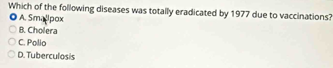 Which of the following diseases was totally eradicated by 1977 due to vaccinations?
A. Smallpox
B. Cholera
C. Polio
D. Tuberculosis
