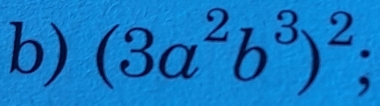 (3a^2b^3)^2;