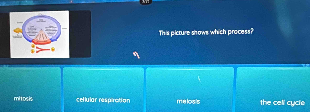 This picture shows which process?
mitosis cellular respiration melosis the cell cycle