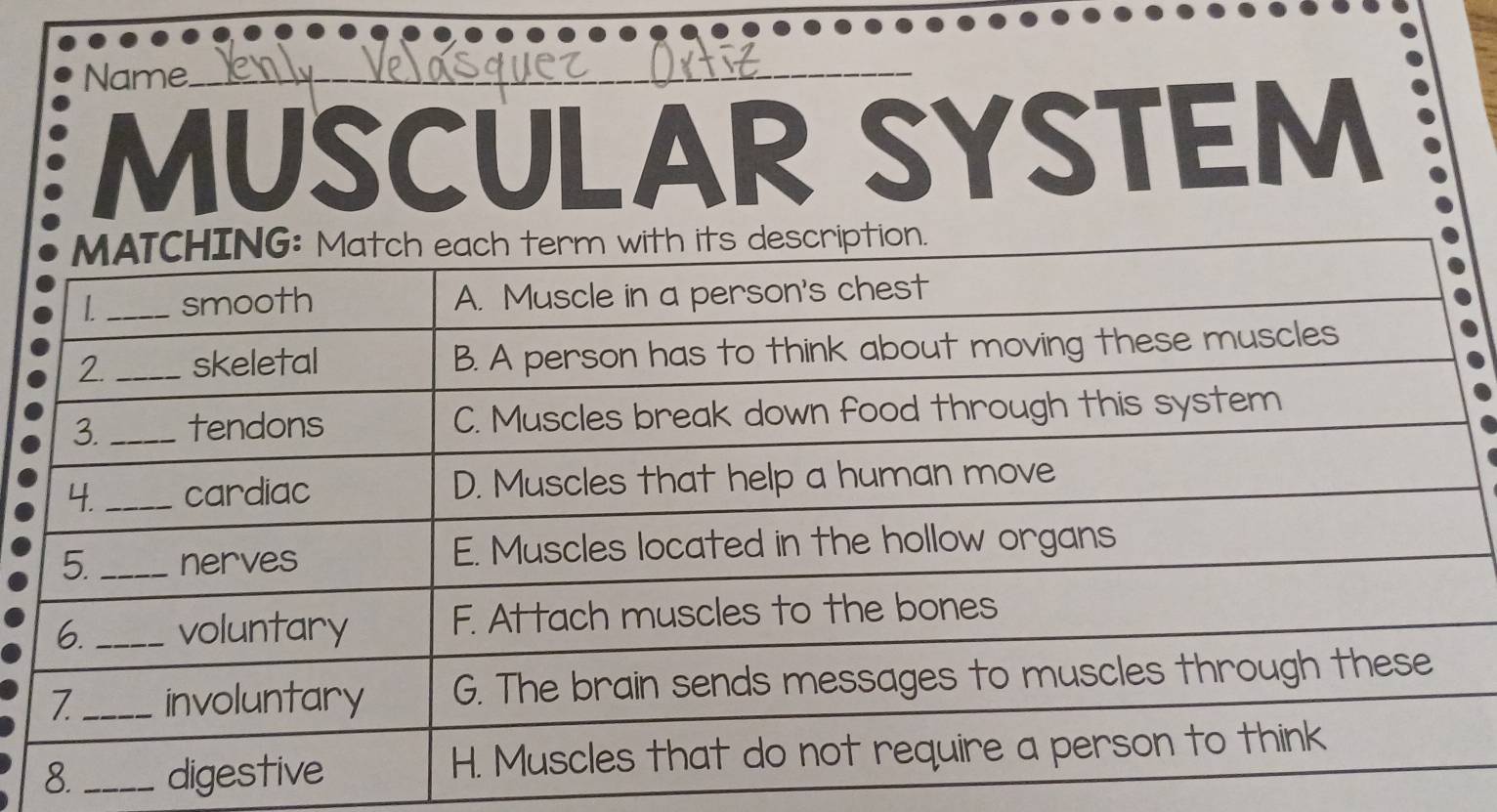 Name._ 
MUSCULAR SYSTEM