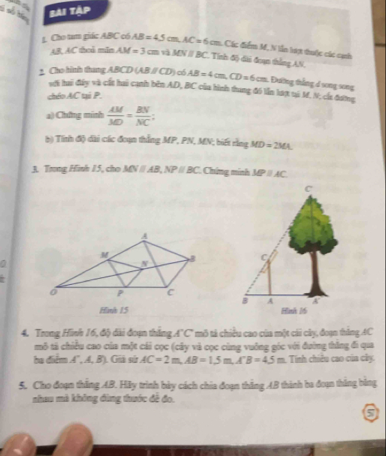 số tê bai tập 
1 Cho tum giác ABC có AB=45cm, AC=6cm : Các điểm M, N lẫn lợt tuộc các cạh
AB, AC thoủ min AM=3cm overline u △ MNparallel BC Tính độ dài đoạn thắng AN. 
* Cho hình thung ABCD(ABparallel CD) có AB=4cm, CD=6cm 1 Đường thắng d song song 
với luữ đây và cất huú cạnh bên AD, BC của hình thung đó lần lưạ tá M. N; ch đương 
chéo AC tại P. 
a) Chứng minh  AM/MD = BN/NC ; 
b) Tính độ di các đoạn thắng MP, PN, MN; biết rằng MD=2MA. 
3. Trng Hình 15, chọ MNparallel AB, NPparallel BC Chng minh MPparallel AC. 
0 

Him 15
4. Trong Hình 16, độ dài đoạn thắng A'C" mô tả chiều cao của một cái cây, đoạn thắng AC
mô tả chiều cao của một cái cọc (cây và cọc cùng vuông góc với đường thăng đi qua 
ba điểm A, A, B) Giả sử AC=2m, AB=1,5m, A'B=45m Tinh chiêu cao củn cây. 
5. Cho đoạn thắng AB. Hảy trình bày cách chia đoạn thắng AB thành ba đoạn thắng băng 
nhau mà không đùng thuớc đề đo.