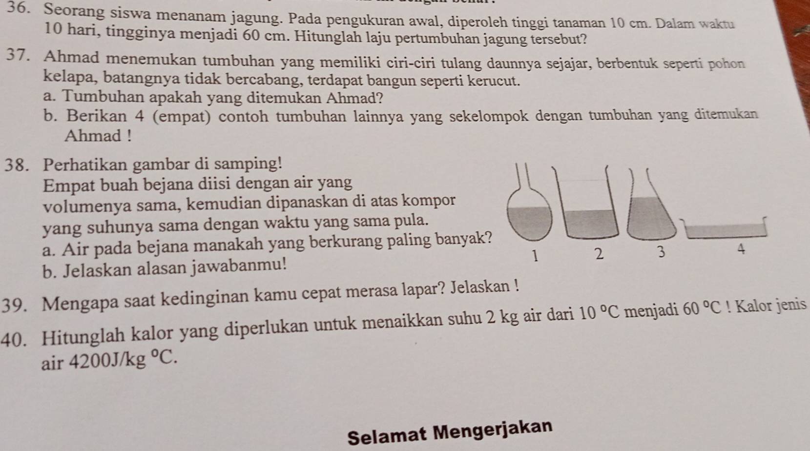 Seorang siswa menanam jagung. Pada pengukuran awal, diperoleh tinggi tanaman 10 cm. Dalam waktu
10 hari, tingginya menjadi 60 cm. Hitunglah laju pertumbuhan jagung tersebut? 
37. Ahmad menemukan tumbuhan yang memiliki ciri-ciri tulang daunnya sejajar, berbentuk seperti pohon 
kelapa, batangnya tidak bercabang, terdapat bangun seperti kerucut. 
a. Tumbuhan apakah yang ditemukan Ahmad? 
b. Berikan 4 (empat) contoh tumbuhan lainnya yang sekelompok dengan tumbuhan yang ditemukan 
Ahmad ! 
38. Perhatikan gambar di samping! 
Empat buah bejana diisi dengan air yang 
volumenya sama, kemudian dipanaskan di atas kompor 
yang suhunya sama dengan waktu yang sama pula. 
a. Air pada bejana manakah yang berkurang paling banyak 
b. Jelaskan alasan jawabanmu! 
39. Mengapa saat kedinginan kamu cepat merasa lapar? Jelaskan ! 
40. Hitunglah kalor yang diperlukan untuk menaikkan suhu 2 kg air dari 10°C menjadi 60°C! Kalor jenis
air4200J/kg°C. 
Selamat Mengerjakan