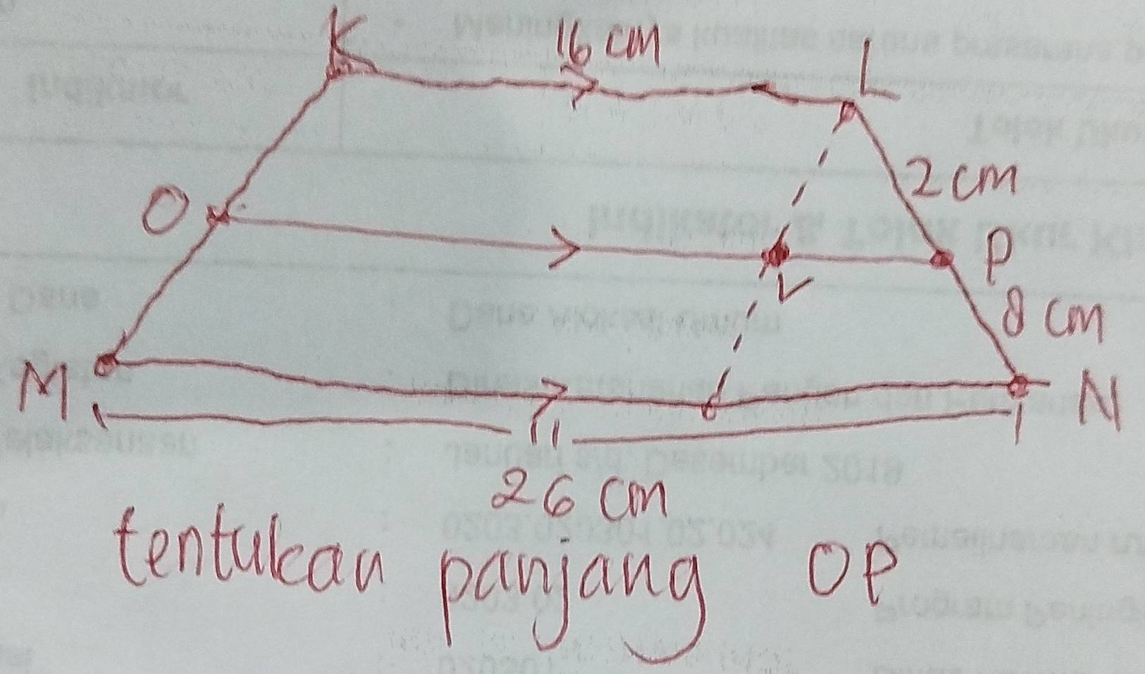 tentulcan panjang op