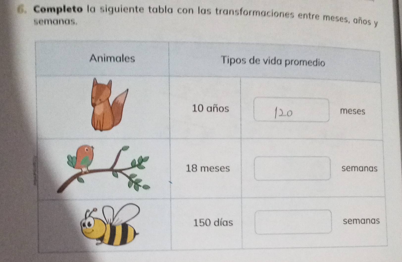 Completo la siguiente tabla con las transformaciones entre meses, años y 
semanas.