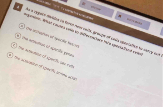 nV mene 1 7 3 sumative assessmen 
SEVIEW ⊙のOKMR 
4 s a zygote divides to form new cells, groups of cells specialize to carry ou 
organism. What causes cells to differentiate into specialized cells 
)the activation of specific tissue: 
) the activation of specific genes 
) the activation of specific sex cell: 
the activation of specific amino acid: