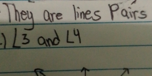 They are lines Pairs
∠ overline 3 and Ly