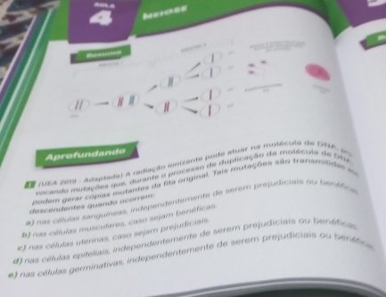 Muoss
_
Aprofundando
#E (UEA 2013 - Adaptada) A radiação ionizante node stuar na moléculo de GA u
vocando mutações que, durants o processo de duplicação da molécuia de Ote
podem gerar cópias murantes da fita original. Tais mutações são transmndas i
#) nas células sanguíneas, independenemente de serem prejudiciais Su benáfica
descendentes quando ocorrem
b) nas células musculares, caso sejam benéficas.
e) nas células uterinas, caso sejam prejudiciais.
4) nas céllulas epíteliais, independentemente de serem prejudiciais ou benéfica
e) nas células germinativas, independentemente de serem prejudiciais ou penéfca