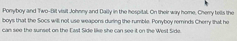 Ponyboy and Two-Bit visit Johnny and Dally in the hospital. On their way home, Cherry tells the 
boys that the Socs will not use weapons during the rumble. Ponyboy reminds Cherry that he 
can see the sunset on the East Side like she can see it on the West Side.