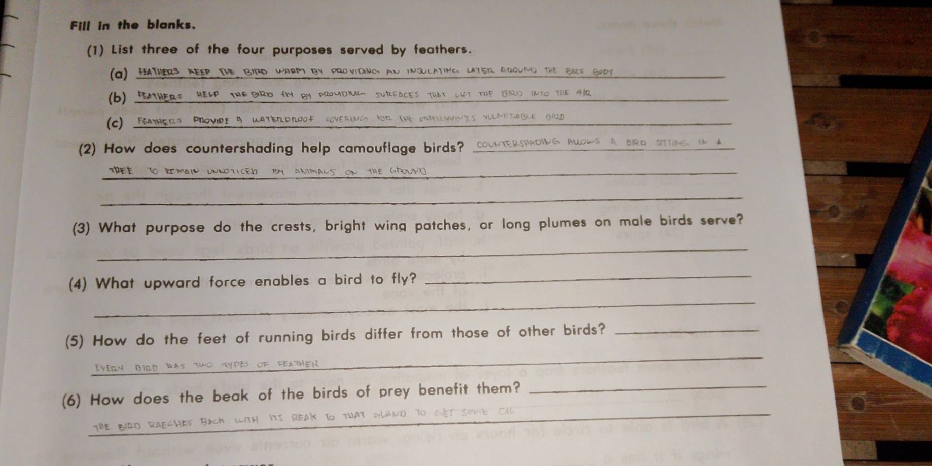 Fill in the blanks. 
(1) List three of the four purposes served by feathers. 
(a) feathers keep the bird warm by provioing an insulating, layer aroung the Birs Grom_ 
(b)_ 
(c) __ 
_ 
(2) How does countershading help camouflage birds?_ 
BIRO STTING 
_TREE 
_ 
(3) What purpose do the crests, bright wing patches, or long plumes on male birds serve? 
_ 
(4) What upward force enables a bird to fly? 
_ 
_ 
_ 
(5) How do the feet of running birds differ from those of other birds?_ 
_ 
(6) How does the beak of the birds of prey benefit them?_