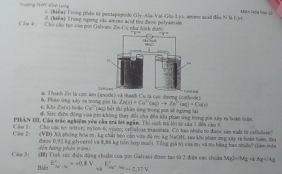 Trường THPT Vĩnh Long c. (hiều) Trong phân từ pentapeptide GIy-A.I a-Val-Glu-Lys, amino acid đầu N là Lys.
Mùn Hóa học 11
Câu 4: Cho cầu tạo của pin Galvani d. (hiều) Trùng ngưng các amine acid thu được polyamide  như hình dưới:
CB-C
a. Thanh Zn là cựcm (anode) và thanh Cụ là cực dượng (cathode)
b. Phân ứng xây ra trong pin là: Zn(s)+Cu^(2+)(aq)to Zn^(2+)(aq)+Cu(s).
c. Khi Zn(s) boặc Cu^(2+)(aq) l  hệt thể phân ứng trong pin sẽ ngừng lại
d. Sức điện động của pin không thay đổi cho đến khi phân ứng trong pin xây ra hoàn toàm.
PHÀN III, Câu trác nghiệm yêu cầu trả lời ngắn. Thí sinh trà lời từ câu 1 đến câu 4,
Câu 1: Cho các tơ: nitron; nylon-6; visco; cellulose triacetate. Có bao nhiêu tơ được săm xuất từ cellulose?
Câu 2: (VD) Xá phòng hóa mị kg chất bóo cản vừa đù m: kg NaOH, sau khi phản ứng xây ra hoàn toàn, thu
đến hàng phần trấm). được 0,92 kg glycerol và 8,86 kg hỗn hợp muối. Tổng giá trị của mị và ma bằng bao nhiều? (làw ởơn
Câu 3: (H) Tính sức điện động chuẩn của pin Galvani được tạo từ 2 điện cực chuẩn Mg2+/Mg g và AgHAg
Biết E_Ag^-/Ag^circ =/ 0.8V và E_Mr^2-Mr-2.37V^0