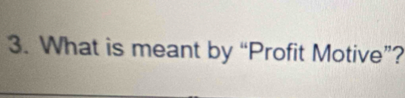 What is meant by “Profit Motive”?