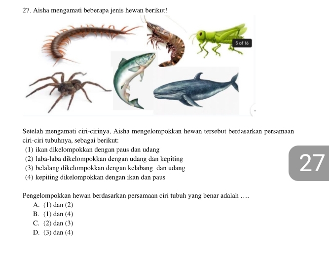 Aisha mengamati beberapa jenis hewan berikut!
Setelah mengamati ciri-cirinya, Aisha mengelompokkan hewan tersebut berdasarkan persamaan
ciri-ciri tubuhnya, sebagai berikut:
(1) ikan dikelompokkan dengan paus dan udang
(2) laba-laba dikelompokkan dengan udang dan kepiting
(3) belalang dikelompokkan dengan kelabang dan udang
27
(4) kepiting dikelompokkan dengan ikan dan paus
Pengelompokkan hewan berdasarkan persamaan ciri tubuh yang benar adalah …..
A. (1) dan (2)
B. (1) dan (4)
C. (2) dan (3)
D. (3) dan (4)