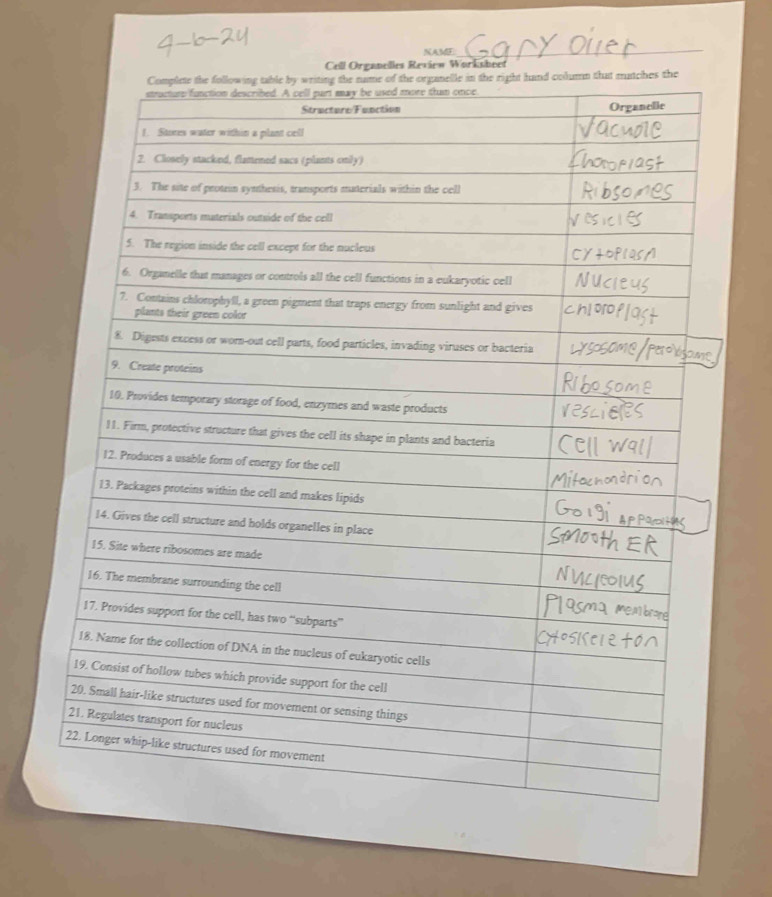 NAME 
_ 
Cell Organelles Review Worksheet