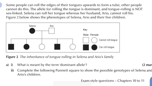 Some people can roll the edges of their tongues upwards to form a tube, other people 
cannot do this. The allele for rolling the tongue is dominant, and tongue-rolling is NOT 
sex-linked. Selena can roll her tongue whereas her husband, Ario, cannot roll his. 
Figure 2 below shows the phenotypes of Selena, Ario and their five children. 
Figure 2 The inheritance of tongue rolling in Selena and Ario’s family 
a) i) What is meant by the term ‘dominant allele’? (2 mar 
ii) Complete the following Punnett square to show the possible genotypes of Selena and 
Ario's children. 
Exam-style questions - Chapters 10 to 11