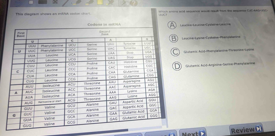 This diagram shows an mRNA codon chart. Which arino acid sequence would result from the sequence CUC-AAG-UGC-
UUC?
Leucine-Leucine-Cysteine-Leucine
Leucine-Lysine-Cysteine-Phenylalanine
Glutamic Acid-Phenylalanine-Threonine-Lysine
Glutamic Acid-Arginine-Serine-Phenylalanine
Next
Review