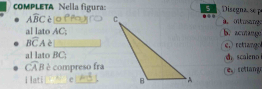 cOMPLETA Nella figura: 5 Diseg a e
Awidehat BC è
a. ottusango
al lato AC;
b. acutango
Bwidehat CA è
c. rettango
al lato BC; d scaleno
Cwidehat AB è compreso fra
e rettango
i lati e