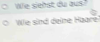 Wie siehst du aus? 
Wie sind deine Haare?