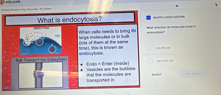 edpuzzle 
By Alexis Kennedy-Craig. Due on Nov. 7th, 9:30am 
What is endocytosis? MULTIPLE CHOICE QUESTION 
What direction do molecules move in 
When cells needs to bring IN endocytosis? 
large molecules or in bulk 
(lots of them at the same 
time), this is known as into the cell 
endocytosis. 
Bulk Transport (ex: Endocytosis) 
Endo = Enter (Inside) out of the cell 
Vesicles are the bubbles 
that the molecules are Rewatch Next question 
transported in