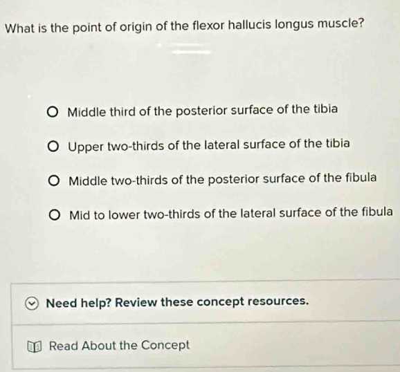 Solved: What is the point of origin of the flexor hallucis longus ...