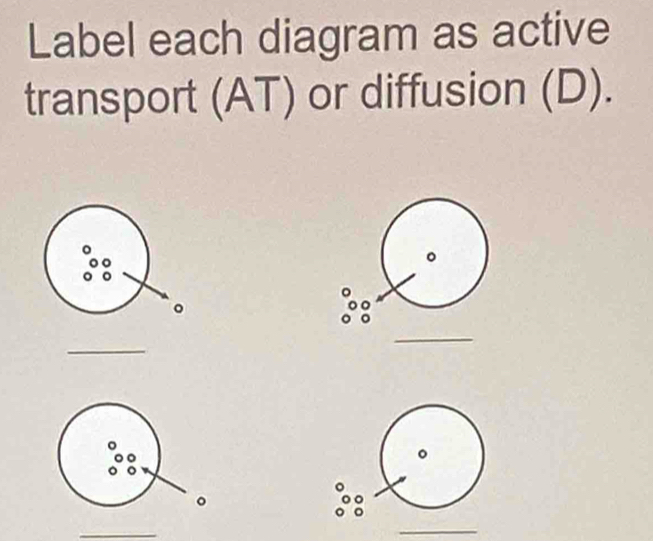 Label each diagram as active 
transport (AT) or diffusion (D). 
_ 
_ 
。 
_ 
_