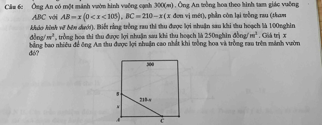 Ông An có một mảnh vườn hình vuông cạnh 300(m). Ông An trồng hoa theo hình tam giác vuông
ÁBC với AB=x(0 , BC=210-x(x đơn vị mét), phần còn lại trồng rau (tham 
khảo hình vẽ bên dưới). Biết rằng trồng rau thì thu được lợi nhuận sau khi thu hoạch là 100nghìn
dong /m^2 , trồng hoa thì thu được lợi nhuận sau khi thu hoạch là 250nghìn đồng / m^2. Giá trị x
bằng bao nhiêu để ông An thu được lợi nhuận cao nhất khi trồng hoa và trồng rau trên mảnh vườn 
đó?