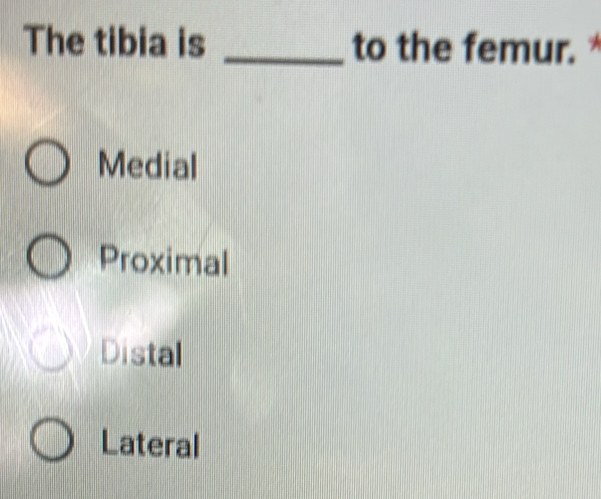 The tibia is _to the femur.*
Medial
Proximal
Distal
Lateral