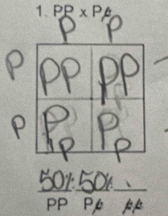 PP* P
o 
_ 
_ 
_ 
_