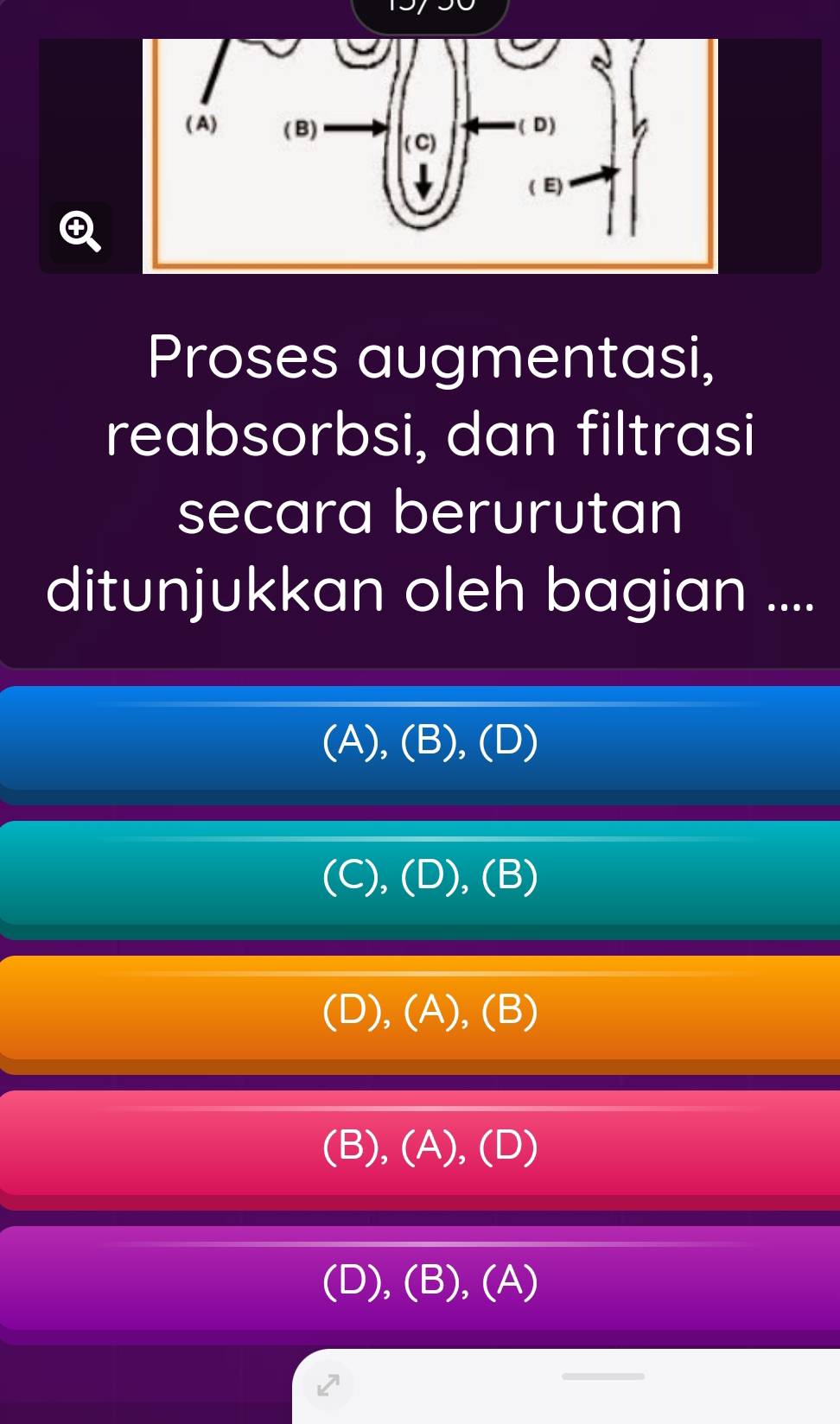 Proses augmentasi,
reabsorbsi, dan filtrasi
secara berurutan
ditunjukkan oleh bagian ....
(A), (B), (D)
(C), (D), (B)
(D), (A), (B)
(B), (A), (D)
(D), (B), (A)