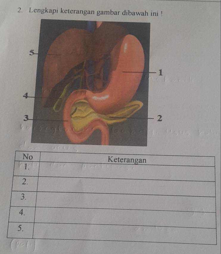 Lengkapi keterangan gambar dibawah ini !