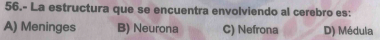 56.- La estructura que se encuentra envolviendo al cerebro es:
A) Meninges B) Neurona C) Nefrona D) Médula