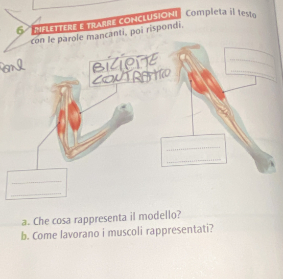 IFLETTERE E TrArrE COnCLUSIóNI Completa l test 
ancanti, poi rispondi. 
a. Che cosa rappresenta il modello? 
b. Come lavorano i muscoli rappresentati?