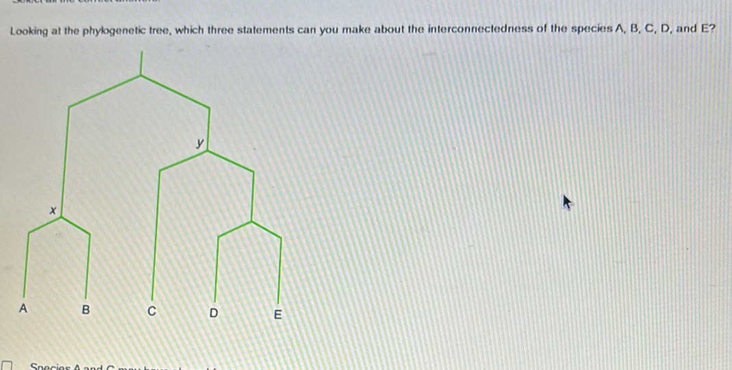 Solved: Looking at the phylogenetic tree, which three statements can ...