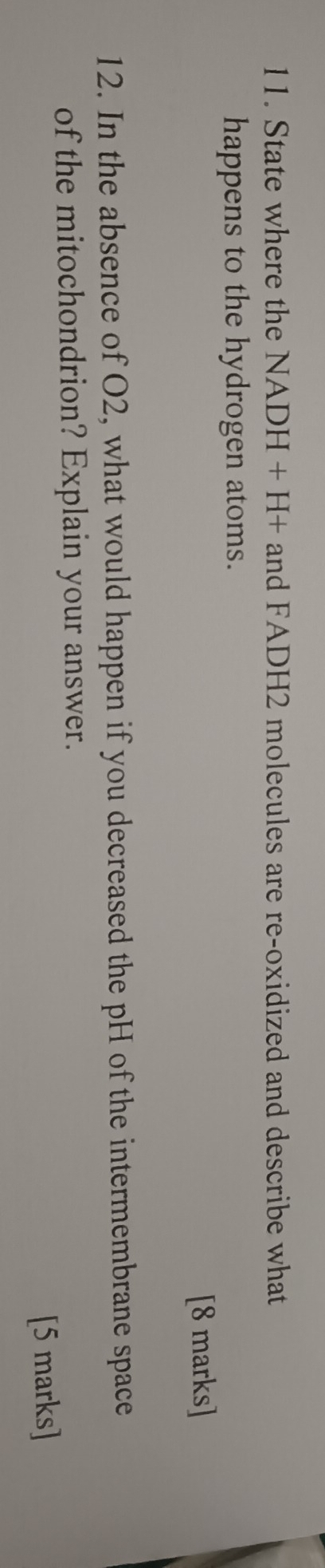 State where the NADH + H+ and FADH2 molecules are re-oxidized and describe what 
happens to the hydrogen atoms. 
[8 marks] 
12. In the absence of O2, what would happen if you decreased the pH of the intermembrane space 
of the mitochondrion? Explain your answer. 
[5 marks]