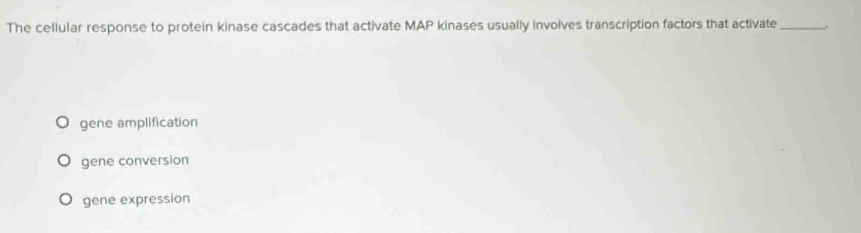 The cellular response to protein kinase cascades that activate MAP kinases usually involves transcription factors that activate_ .
gene amplification
gene conversion
gene expression