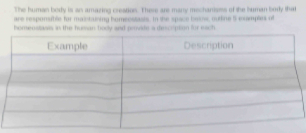 The human body is an amazing creation. There are marnry mechanisms of the human body that 
are responsible for maintaining homeostasis. In the space beow, outine 5 examples of 
homeostasis in the human body and provide a description for each.