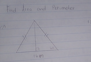 Find Area and Perimeter 
1. 3
n