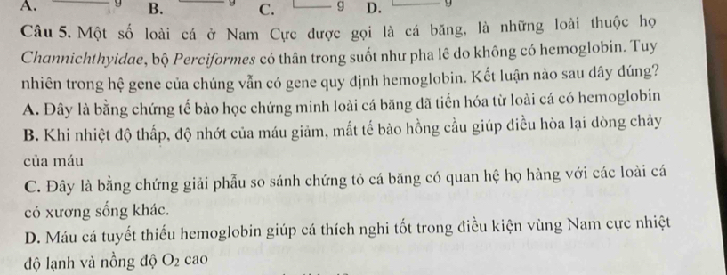 y B. 9 C. g D. 9
Câu 5. Một số loài cá ở Nam Cực được gọi là cá băng, là những loài thuộc họ
Channichthyidae, bộ Perciformes có thân trong suốt như pha lê do không có hemoglobin. Tuy
nhiên trong hệ gene của chúng vẫn có gene quy dịnh hemoglobin. Kết luận nào sau dây đúng?
A. Đây là bằng chứng tế bào học chứng minh loài cá băng dã tiến hóa từ loài cá có hemoglobin
B. Khi nhiệt độ thấp, độ nhớt của máu giảm, mất tế bào hồng cầu giúp diều hòa lại dòng chảy
của máu
C. Đây là bằng chứng giải phẫu so sánh chứng tỏ cá băng có quan hệ họ hàng với các loài cá
có xương sống khác.
D. Máu cá tuyết thiếu hemoglobin giúp cá thích nghi tốt trong điều kiện vùng Nam cực nhiệt
độ lạnh và nồng độ O_2 cao