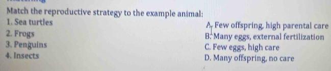Match the reproductive strategy to the example animal:
1. Sea turtles A Few offspring, high parental care
2. Frogs B: Many eggs, external fertilization
3. Penguins C. Few eggs, high care
4. Insects D. Many offspring, no care