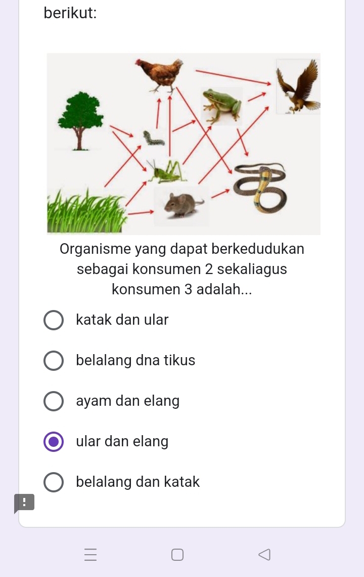 berikut:
Organisme yang dapat berkedudukan
sebagai konsumen 2 sekaliagus
konsumen 3 adalah...
katak dan ular
belalang dna tikus
ayam dan elang
ular dan elang
belalang dan katak
!