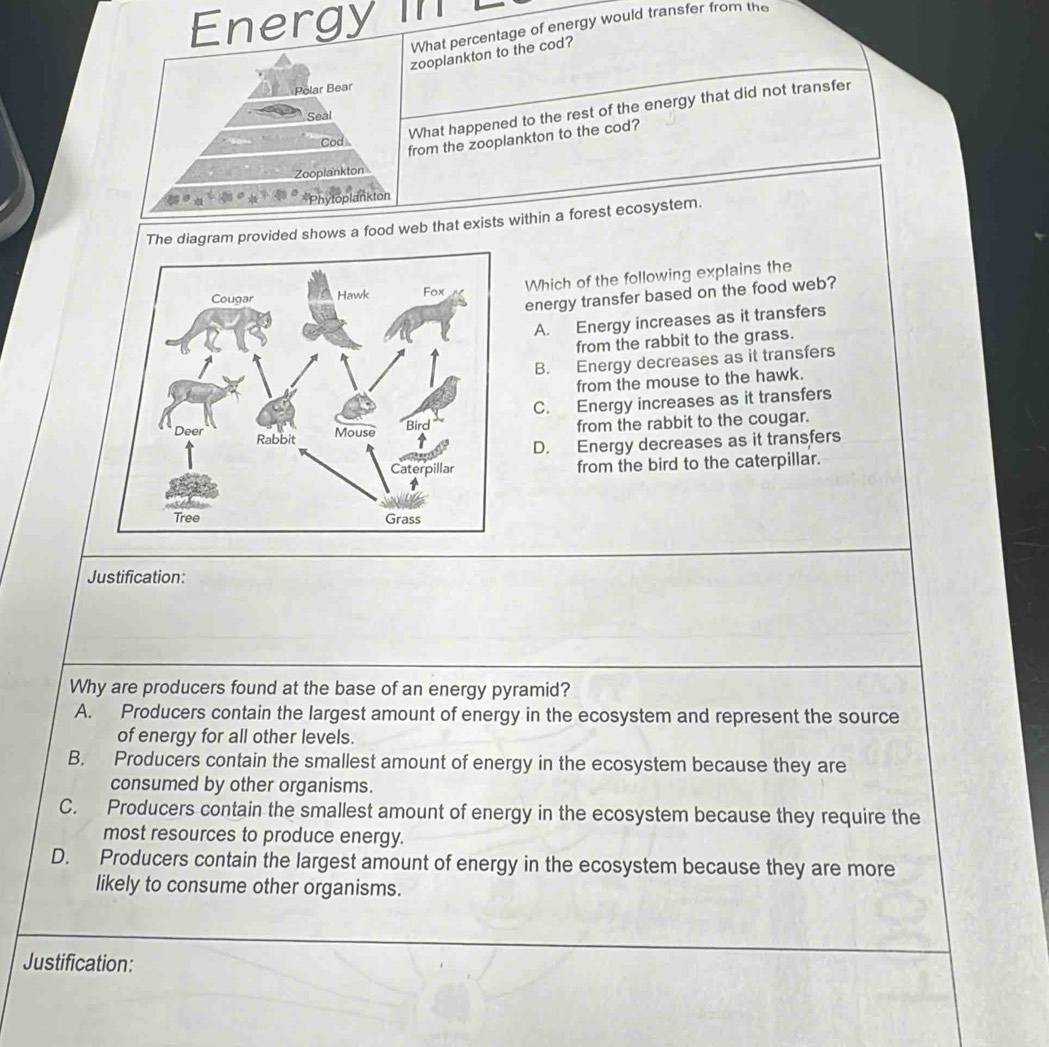 Energyn
What percentage of energy would transfer from the
zooplankton to the cod?
Polar Bear
What happened to the rest of the energy that did not transfer
Seal
from the zooplankton to the cod?
Cod
Zooplankton
toplankton
The diagram provided shows a food web that exists within a forest ecosystem.
Which of the following explains the
energy transfer based on the food web?
A. Energy increases as it transfers
from the rabbit to the grass.
B. Energy decreases as it transfers
from the mouse to the hawk.
C. Energy increases as it transfers
from the rabbit to the cougar.
D. Energy decreases as it transfers
from the bird to the caterpillar.
Justification:
Why are producers found at the base of an energy pyramid?
A. Producers contain the largest amount of energy in the ecosystem and represent the source
of energy for all other levels.
B. Producers contain the smallest amount of energy in the ecosystem because they are
consumed by other organisms.
C. Producers contain the smallest amount of energy in the ecosystem because they require the
most resources to produce energy.
D. Producers contain the largest amount of energy in the ecosystem because they are more
likely to consume other organisms.
Justification: