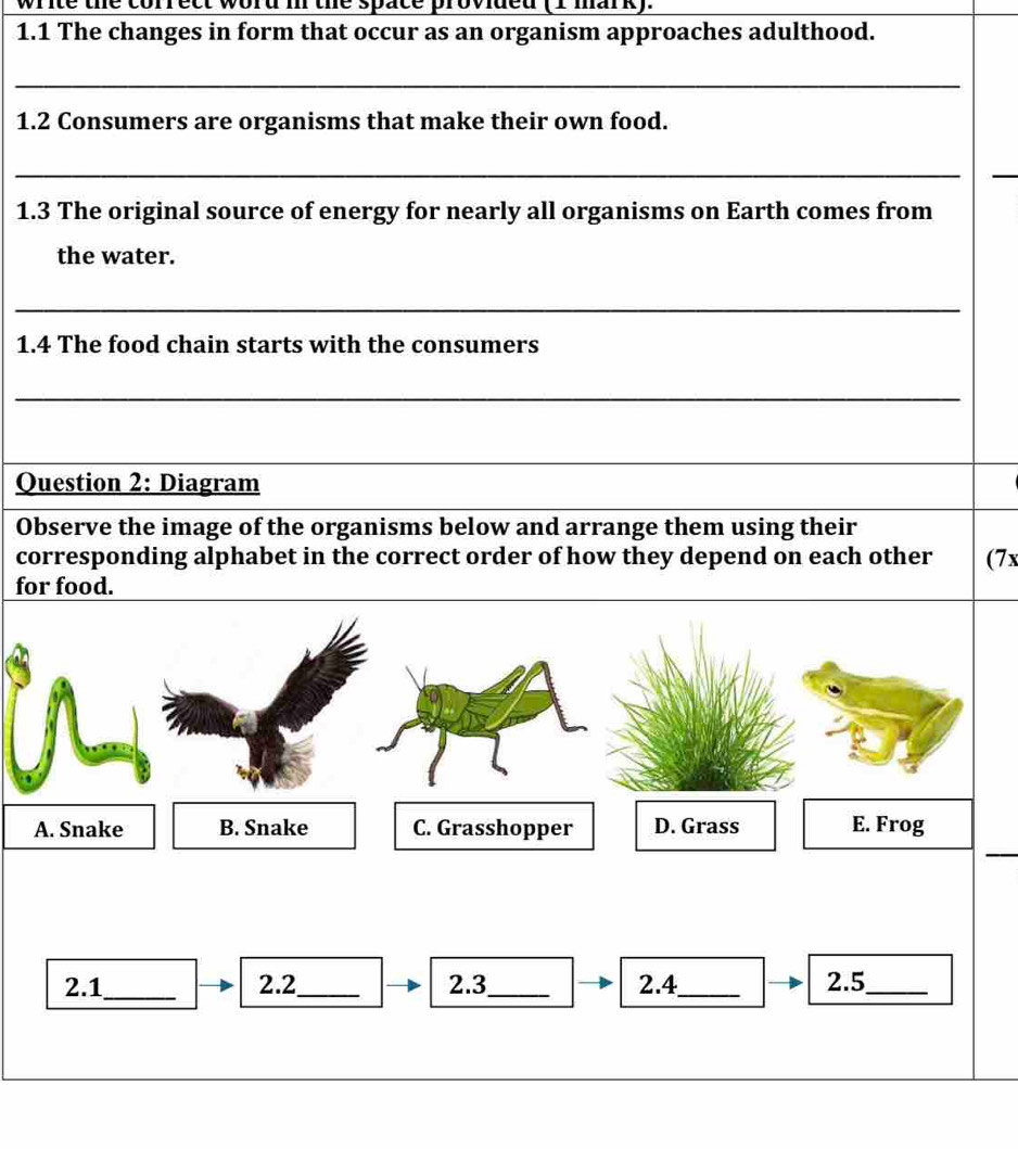 write the correct word i the space provided (1 mark). 
1.1 The changes in form that occur as an organism approaches adulthood. 
_ 
1.2 Consumers are organisms that make their own food. 
_ 
_ 
1.3 The original source of energy for nearly all organisms on Earth comes from 
the water. 
_ 
1.4 The food chain starts with the consumers 
_ 
Question 2: Diagram 
Observe the image of the organisms below and arrange them using their 
corresponding alphabet in the correct order of how they depend on each other (7x
for food. 
_ 
2.1_ 2.2_ 2.3_ 2.4_ 2.5_