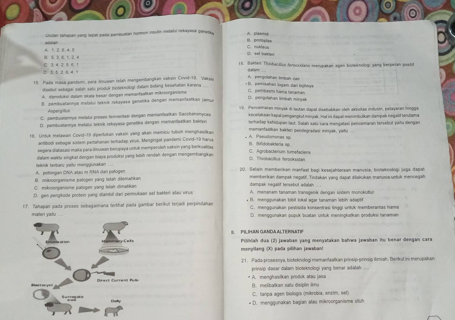 Urutan tahapan yang tepat pada pembuatan hormon insulin melalui rekayasa genetika A. plasmid
adalah
B. protoplas
C.nukleus
A.1. 2. 6. 4. 5
D. sel bakteri
B. 5. 3. 6. 1、2. 4
C. 3. 4. 25. 6. 1 18. Bakteri Thiobacillus ferooxidans merupakan agen bioteknologi yang berperan positif
D. 3. 5, 2. 6. 4. 1
dalam ....
15. Pada masa pandemi, para ilmuwan telah mengembangkan vaksin Covid-19. Vaksin
A. pengolahan limbah cair
disebut sebagai salah satu produk bioteknologi dalam bidang kesehatan karena
B. pemisahan logam dari bijihnya
A. diproduksi dalam skala besar dengan memanfaatkan mikroorganisme
C. pembasmi hama tanaman
D. pengolahan limbah minyak
B. pembuatannya melalui teknik rekayasa genetika dengan memanfaatkan jamur
Aspergillus
19. Pencemaran minyak di lautan dapat disebabkan oleh aktivitas industri, pelayaran hingga
C. pembuatannya melalui proses fermentasi dengan memanfaatkan Saccharomyces kecelakaan kapal pengangkut minyak. Hal ini dapat menimbulkan dampak negatif terutama
D. pembuatannya melalui teknik rekayasa genetika dengan memanfaatkan bakteri terhadap kehidupan laut. Salah satu cara mengatasi pencemaran tersebut yaitu dengan
memanfaatkan bakteri pendegradasi minyak, yaitu ....
16. Untuk melawan Covid-19 diperlukan vaksin yang akan memicu tubuh menghasilkan
A. Pseudomonas sp.
antibodi sebagai sistem pertahanan terhadap virus. Mengingat pandemi Covid-19 harus
B. Bifidobakteria sp.
segera diatasasi maka para ilmuwan berupaya untuk memperoleh vaksin yang berkualitas C. Agrobacterium tumefaciens
dalam waktu singkat dengan biaya produksi yang lebih rendah dengan mengembangkan D. Thiobacillus ferooksidan
teknik terbaru yaitu menggunakan ....
A. potongan DNA atau m RNA dari patogen 20. Selain memberikan manfaat bagi kesejahteraan manusia, bioteknologi juga dapat
B. mikroorganisme patogen yang telah dilemahkan memberikan dampak negatif. Tindakan yang dapat dilakukan manusia untuk mencegah
C. mikroorganisme patogen yang telah dimatikan
dampak negatif tersebut adalah ....
D. gen pengkode protein yang diambil dari permukaan sel bakteri atau virus A. menanam tanaman transgenik dengan sistem monokultur
• B. menggunakan bibit lokal agar tanaman lebih adaptif
17. Tahapan pada proses sebagaimana terlihat pada gambar berikut terjadi perpindahan C. menggunakan pestisida konsentrasi tinggi untuk memberantas hama
materi yaitu ... D. menggunakan pupuk buatan untuk meningkatkan produksi tanaman
II. PILIHAN GANDAALTERNATIF
Pilihlah dua (2) jawaban yang menyatakan bahwa jawaban itu benar dengan cara
menyilang (X) pada pilihan jawaban!
21. Pada prosesnya, bioteknologi memanfaatkan prinsip-prinsip ilimiah. Berikut ini merupakan
prinsip dasar dalam bioteknologi yang benar adalah ....
A. menghasilkan produk atau jasa
B. melibatkan satu disiplin ilmu
C. tanpa agen biologis (mikrobia, enzim, sel)
D. menggunakan bagian atau mikroorganisme utuh